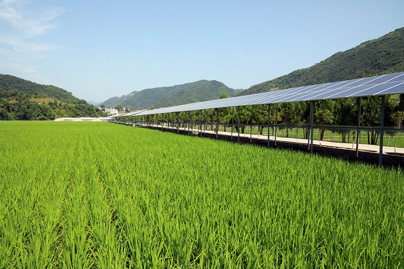 1528849748841149fgBo.jpg 7G6A3925_副本.jpg