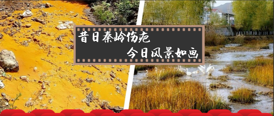 1543038109805541xGfl.png 對比圖.png