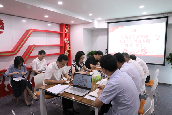 投資公司黨支部召開黨史學習教育專題組織生活會 (1)_副本.jpg