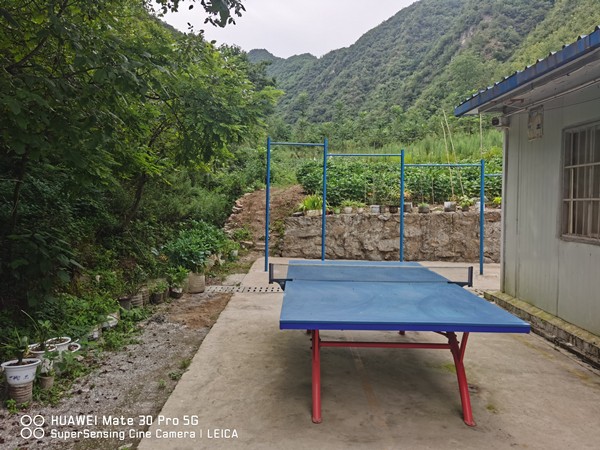 立足職能辦實事，用心服務聚人心——秦楓公司工會積極開展我為群眾辦實事實踐活 動_副本.jpg