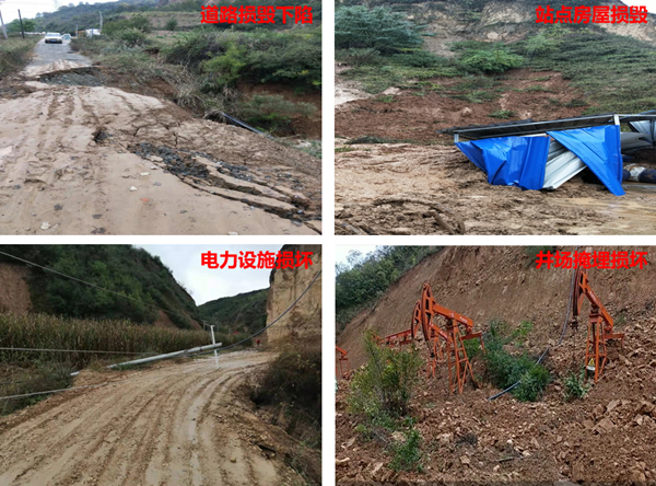 1634089883610757elND.png proxy (1)_副本.png